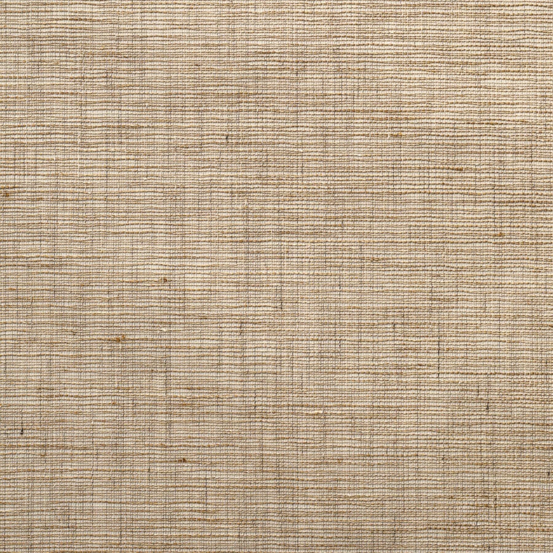 Banshu Linen - Mushroom