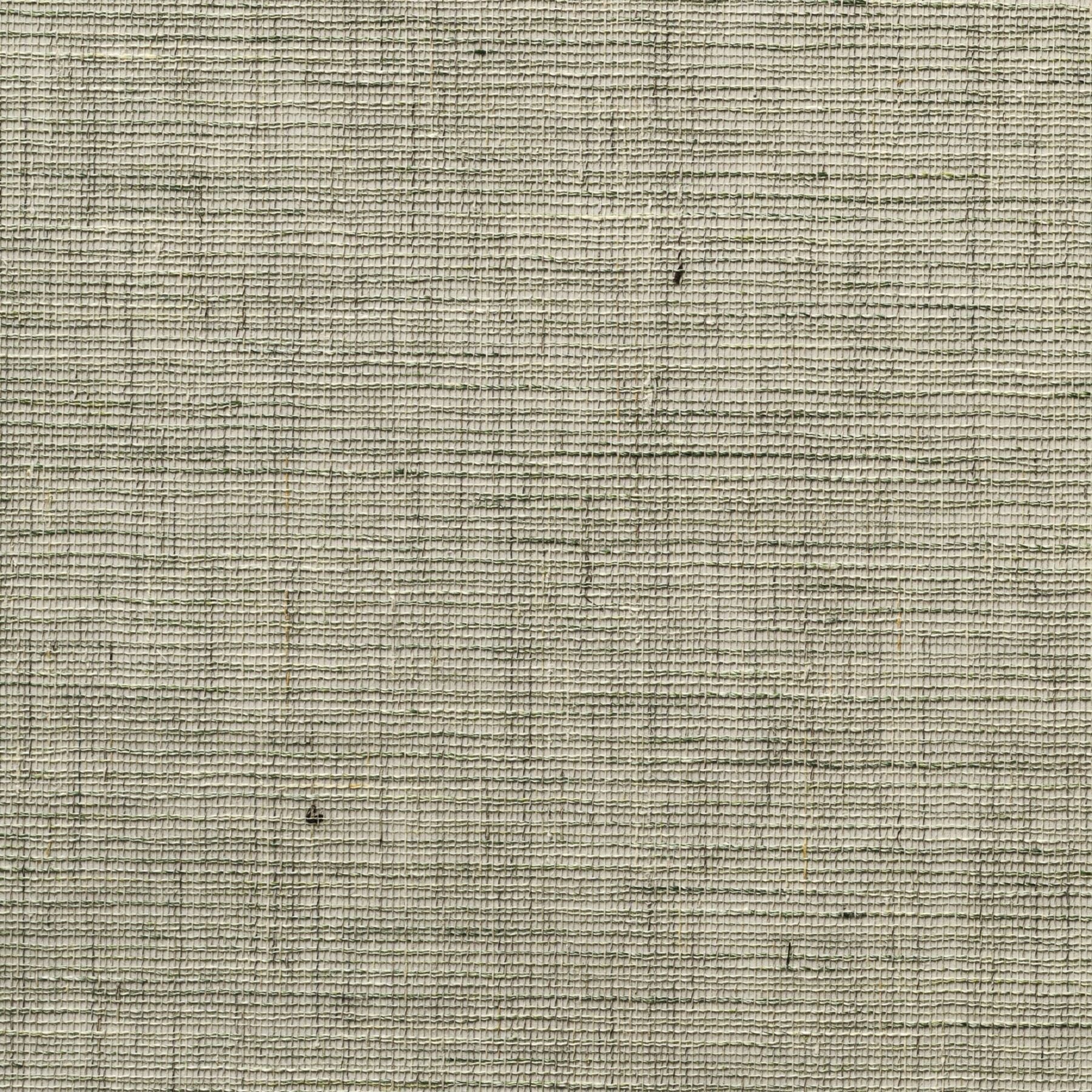 Banshu Linen - Seafoam