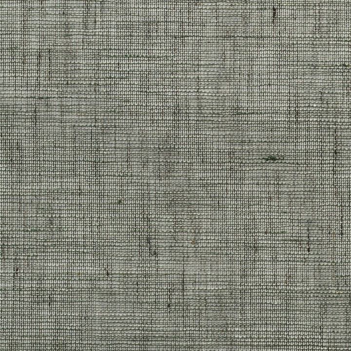Banshu Linen - Moss