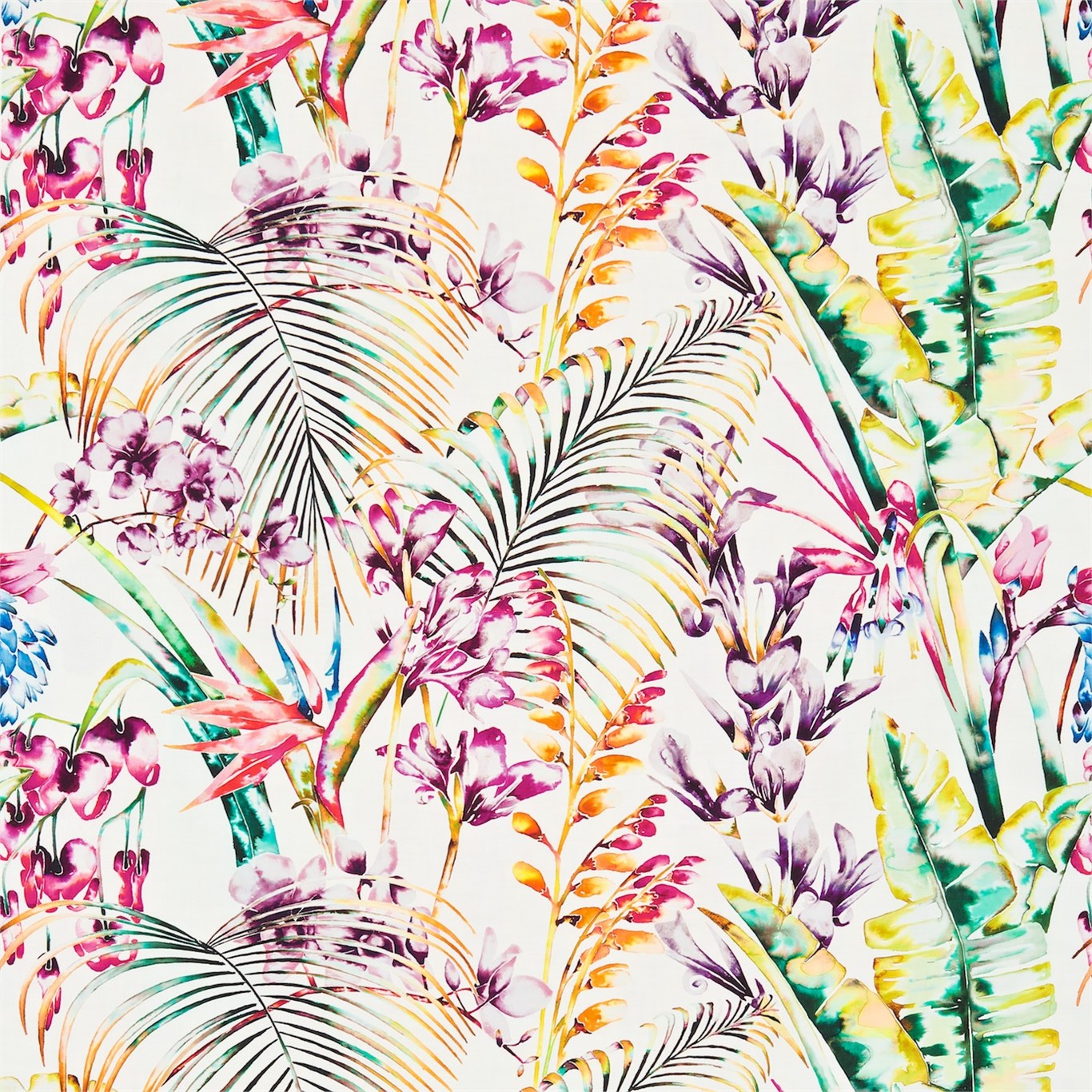 Paradise - Papaya  /  Flamingo  /  Apple