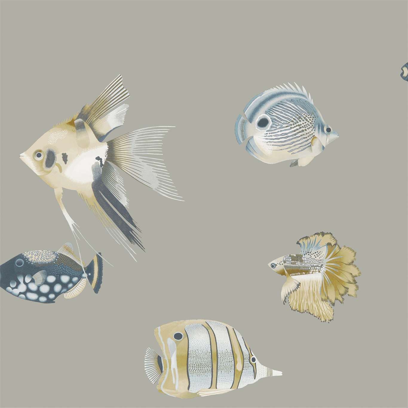 Kamanu - Graphite / Mustard