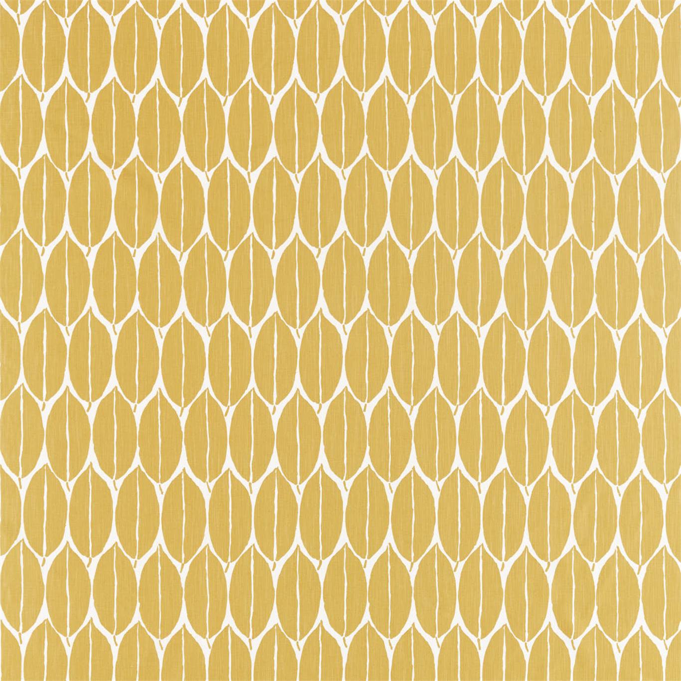 Rie - Ochre
