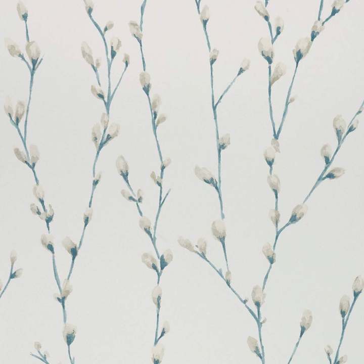 Water Salice - Powder