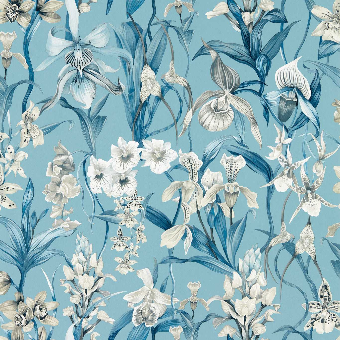 Kalina Wallcovering - Celestial / Murmuration / Awakening