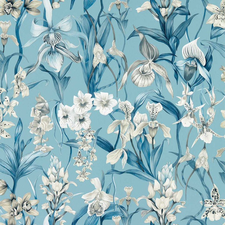 Kalina Wallcovering - Celestial / Murmuration / Awakening