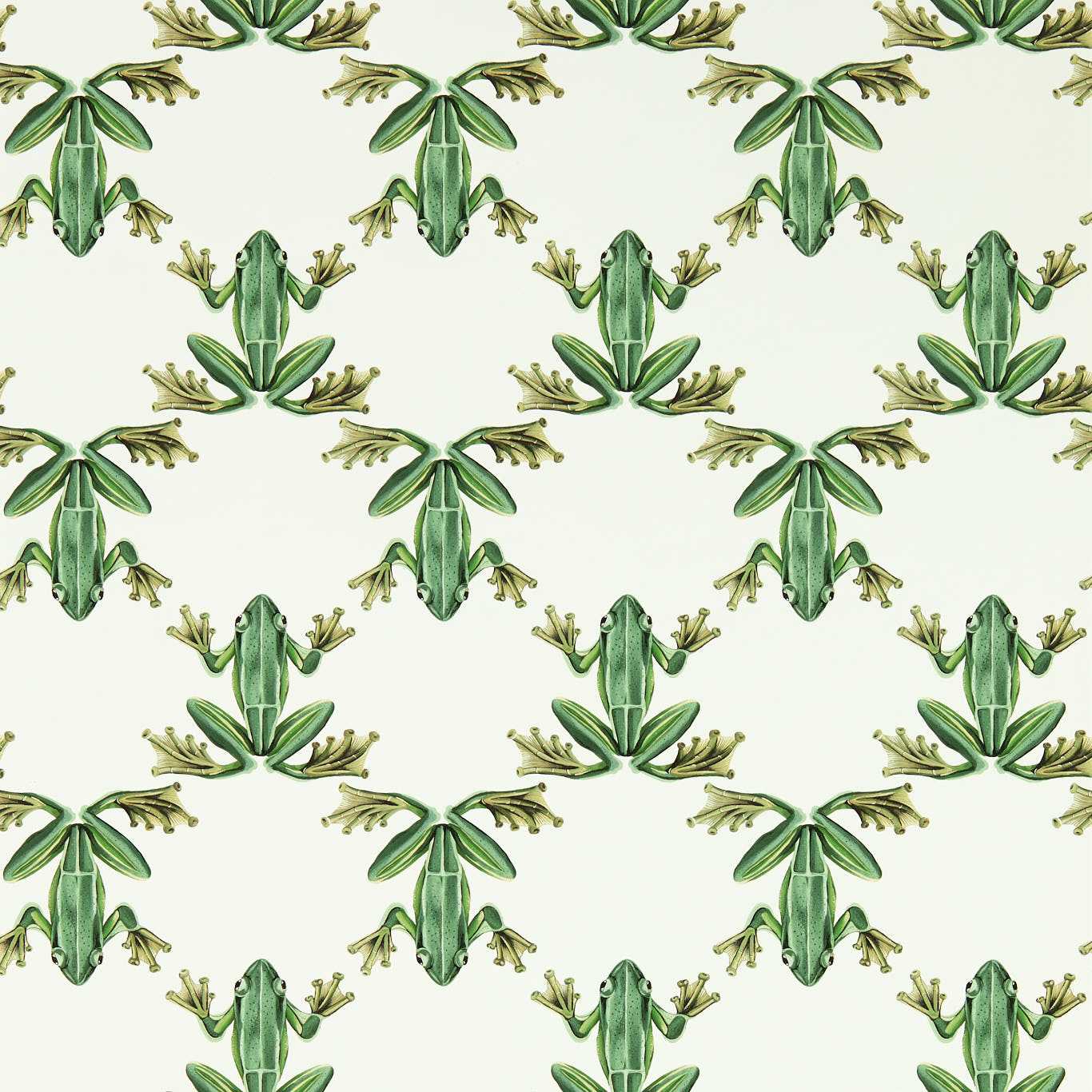 Wood Frog Wallcovering - Forest / Chalk