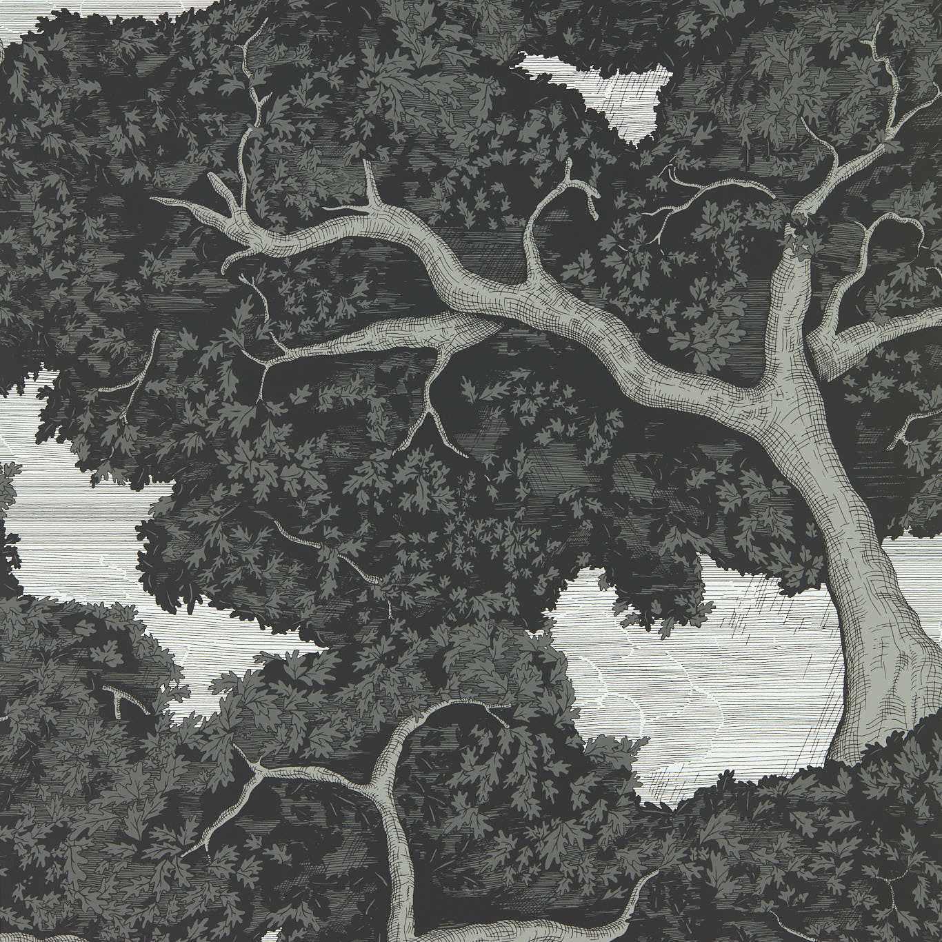 Eternal Oak Wallcovering - Ebony / First Light