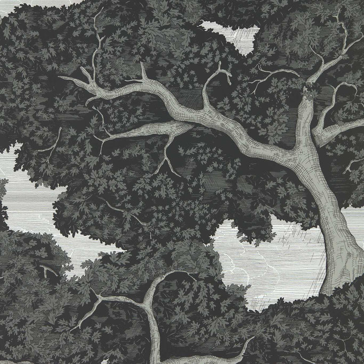 Eternal Oak Wallcovering - Ebony / First Light