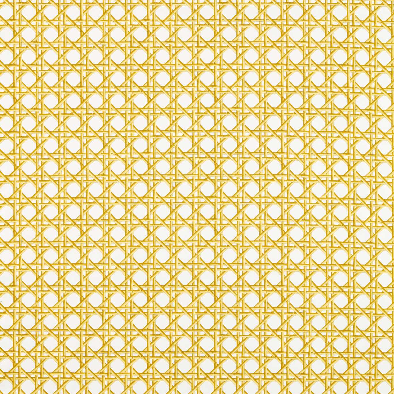 Lovelace - Honey / Paper Lantern