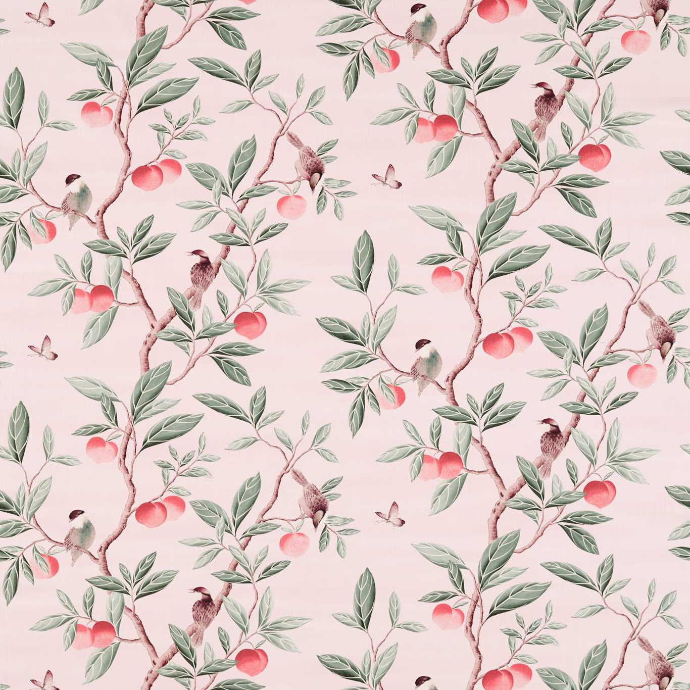 Ella - Powder / Sage / Peach