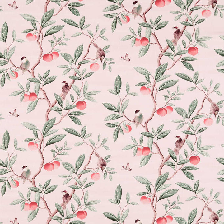 Ella - Powder / Sage / Peach