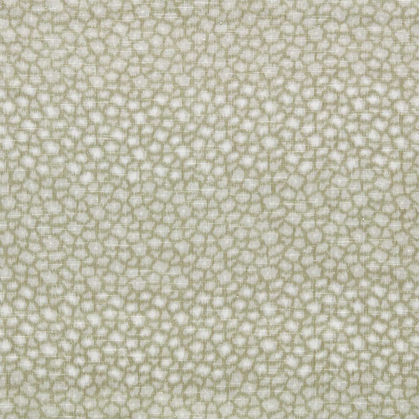 Loam - Olivine