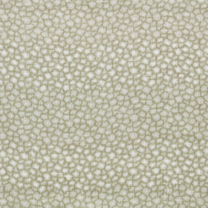 Loam - Olivine