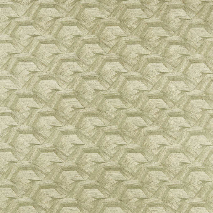 Cartography - Moss