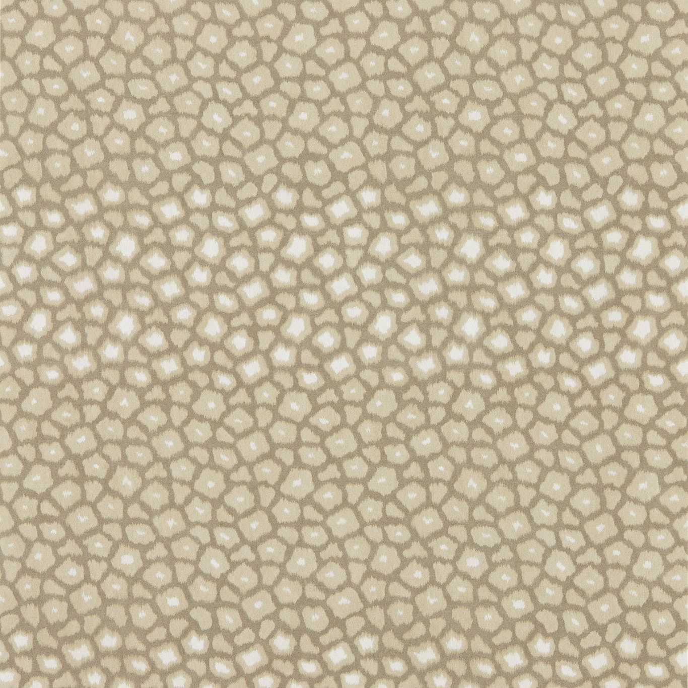Loam - Sandstone