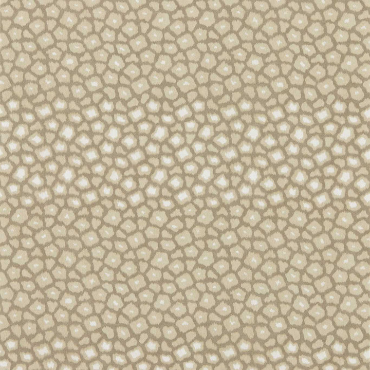 Loam - Sandstone