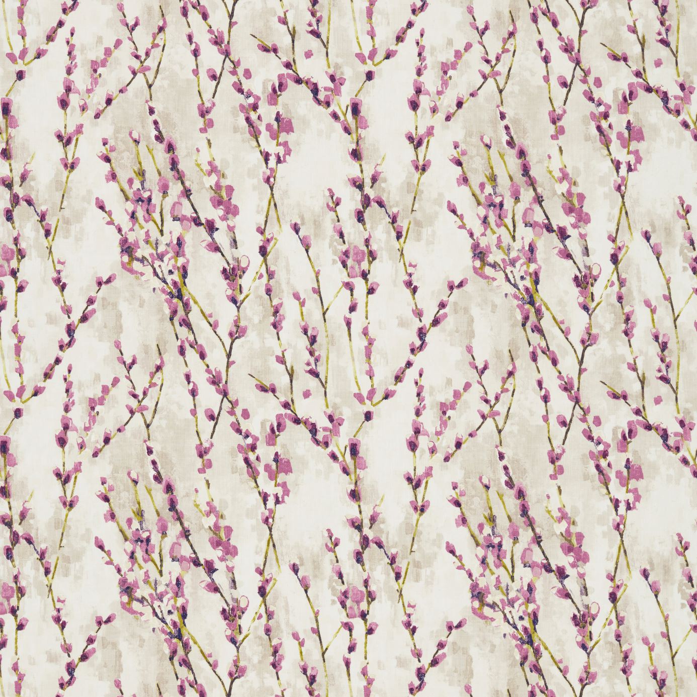 Salice - Plum