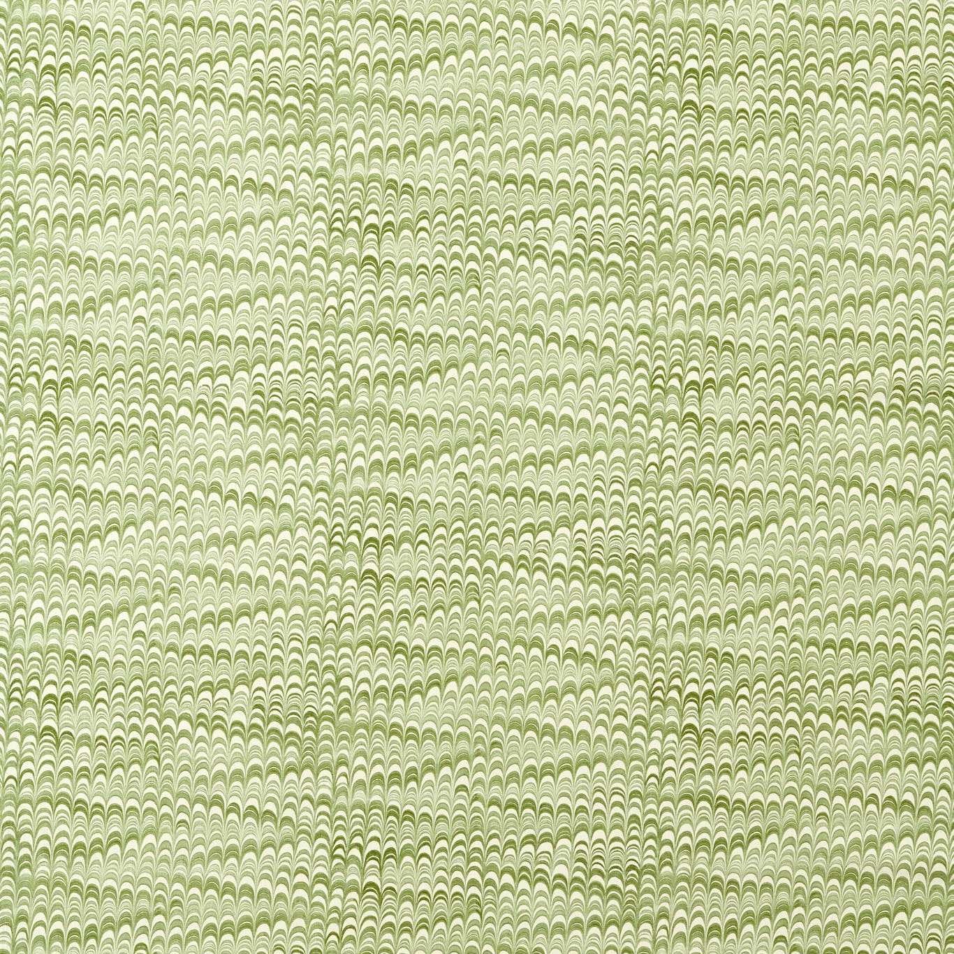 Washi - Matcha