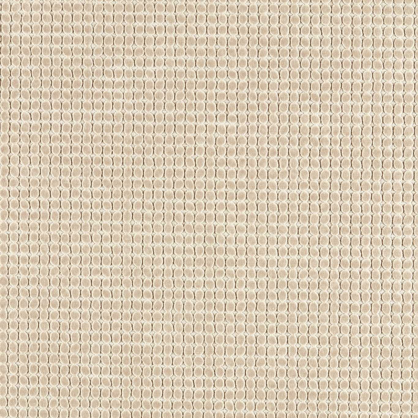 Loopy Spot - Oatmeal