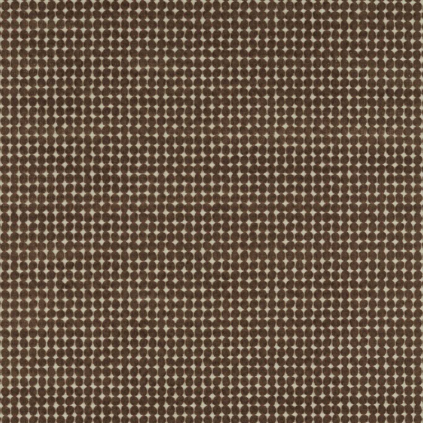 Loopy Spot - Chocolate
