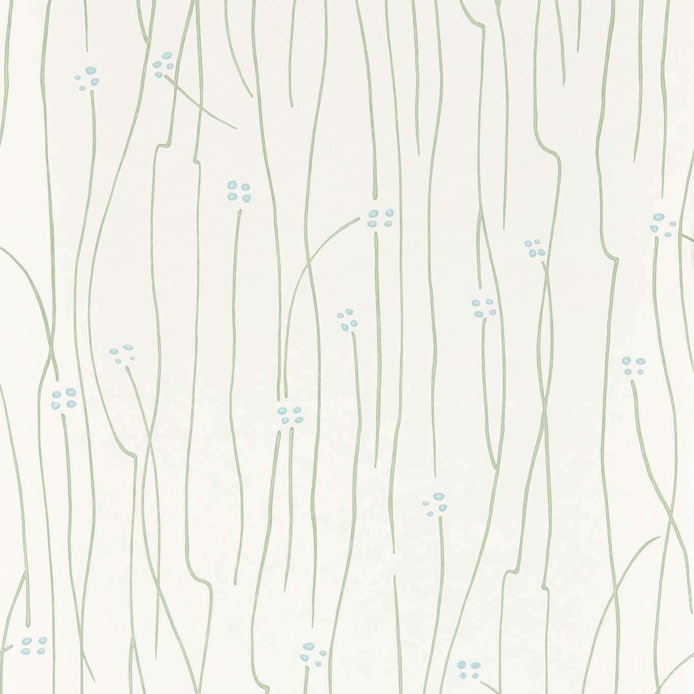 Eizou - Avocado /  Sky / Chalk