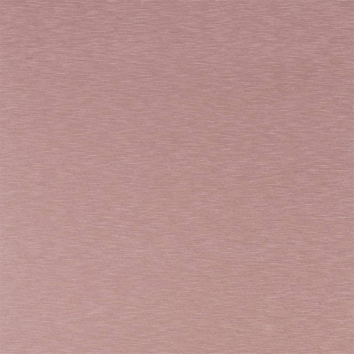Lineate - Lineate Blush