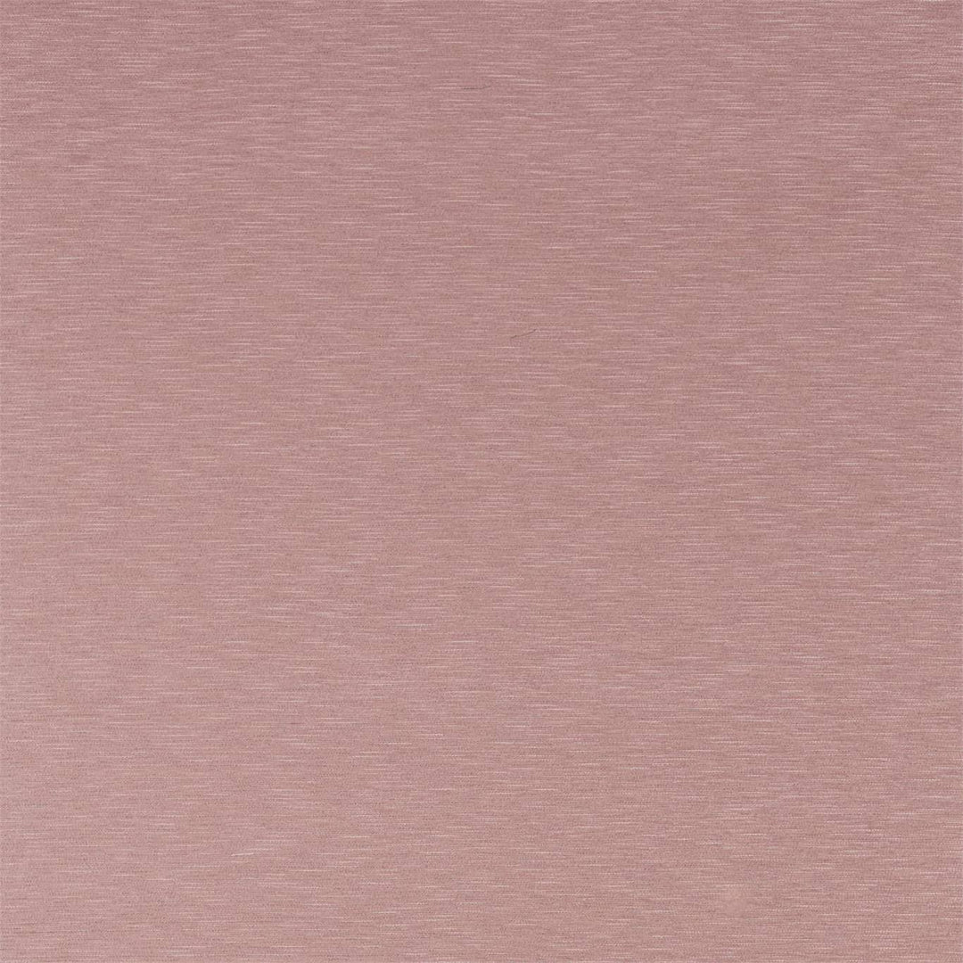 Lineate - Lineate Blush