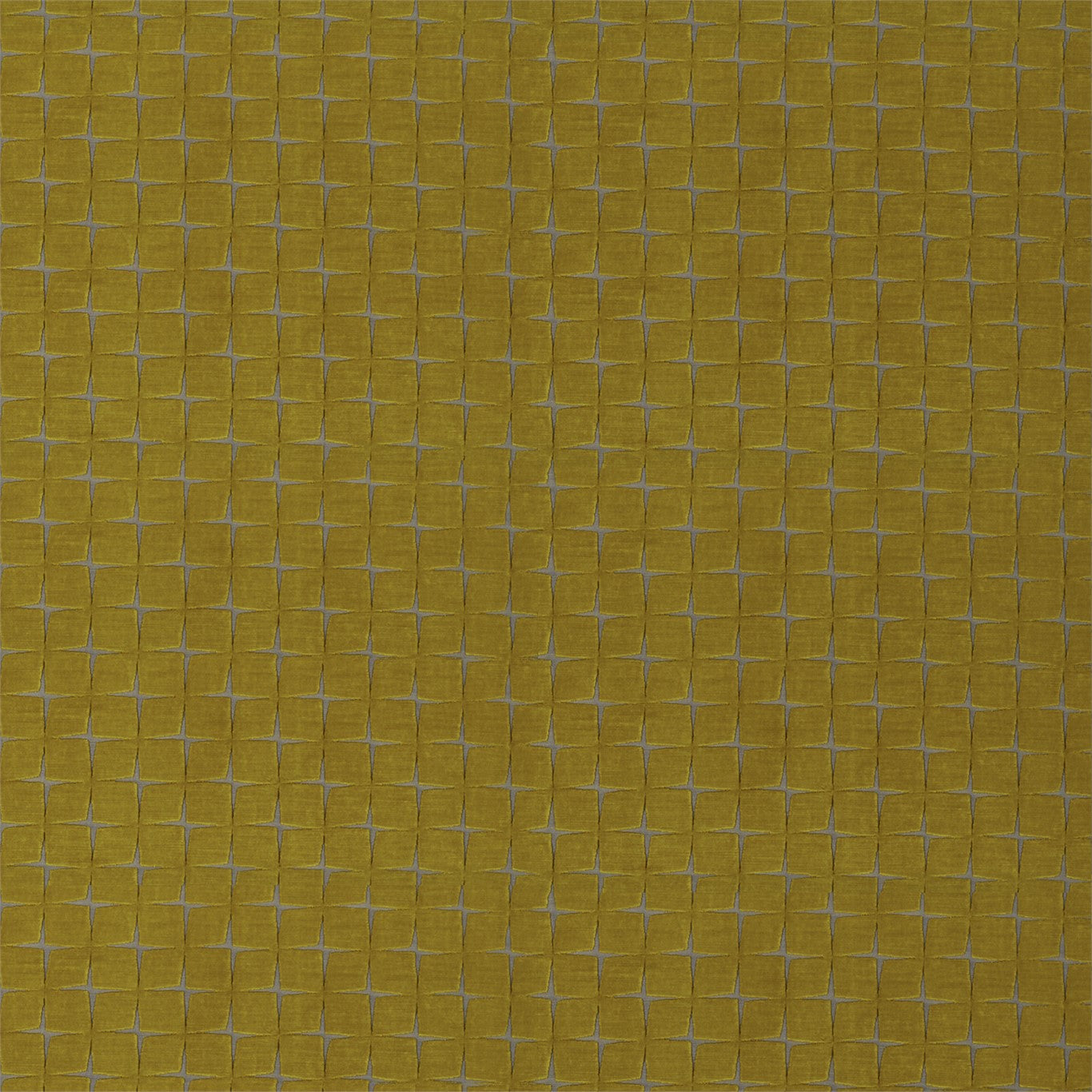 Issoria - Ochre