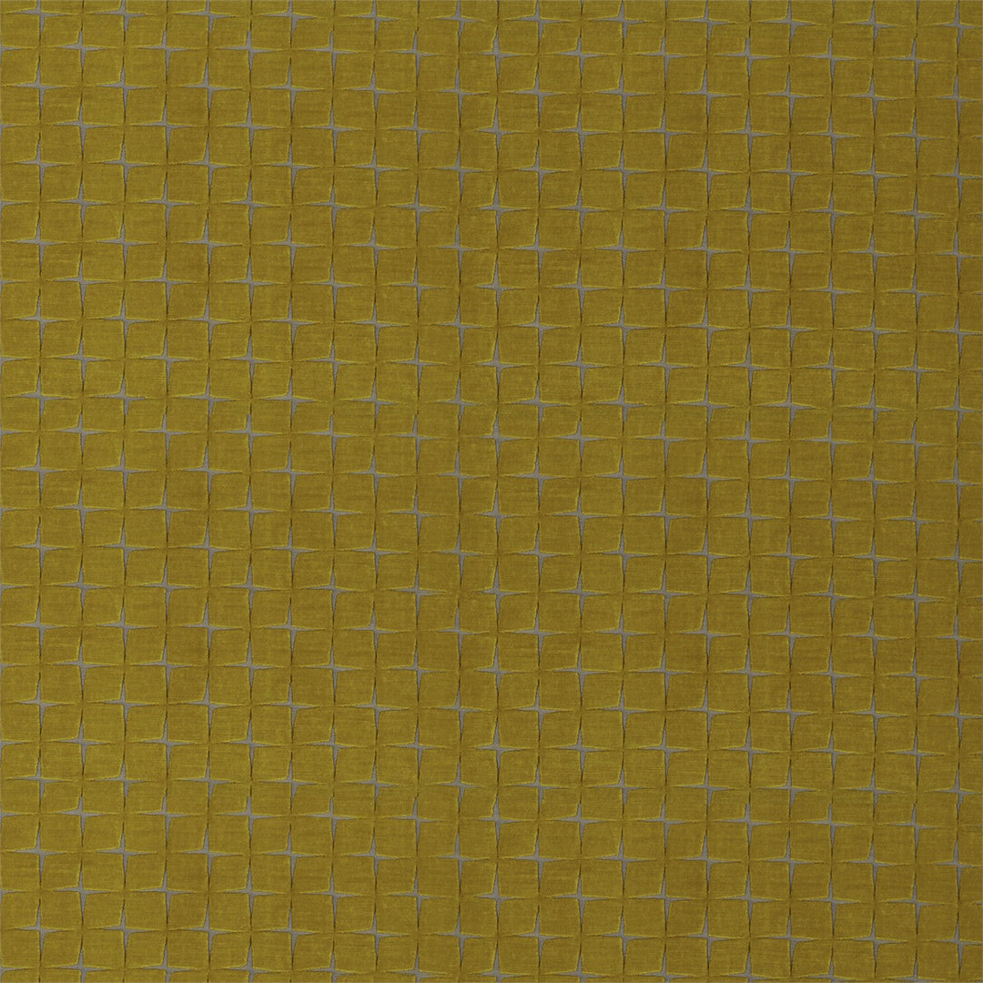 Issoria - Ochre
