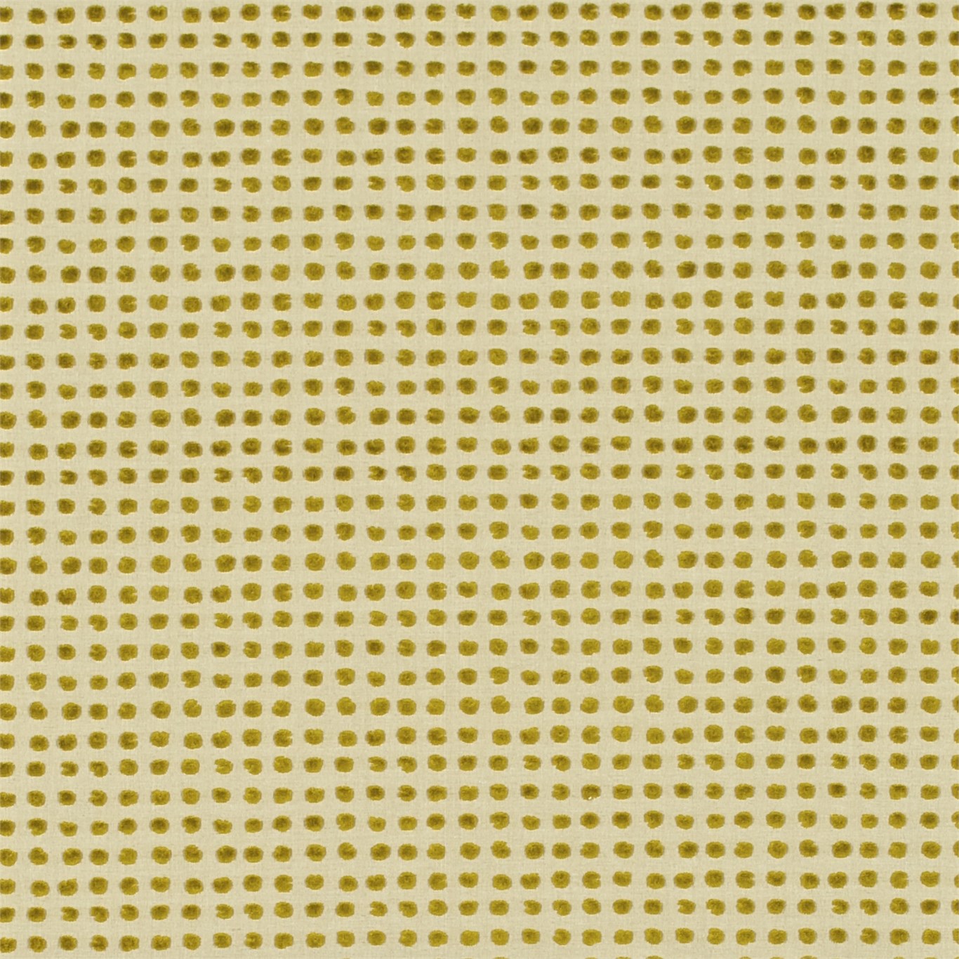 Polka - Mustard Neutral