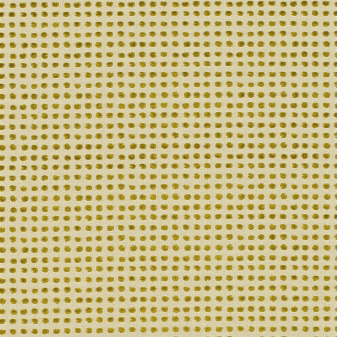 Polka - Mustard Neutral
