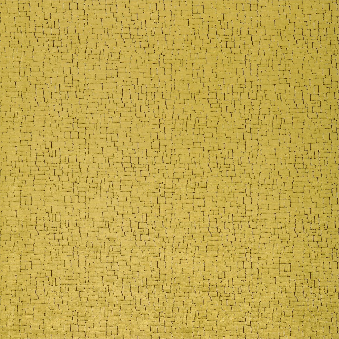 Ascent - Lime and Coffee