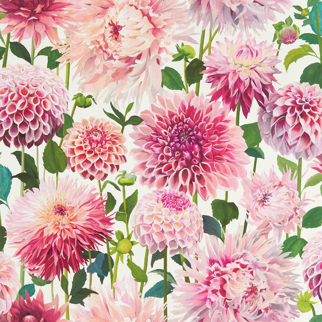 Dahlia - Blossom / Emerald / New Beginnings