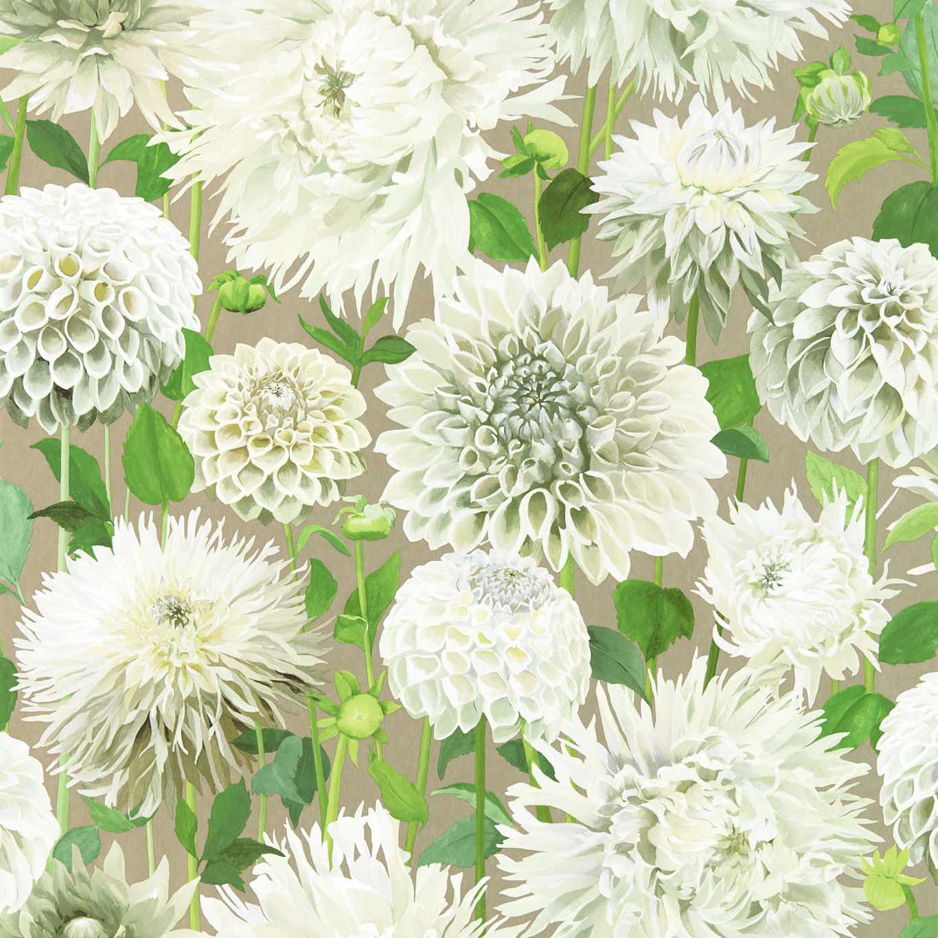 Dahlia - Sail Cloth / Meadow / Gilver
