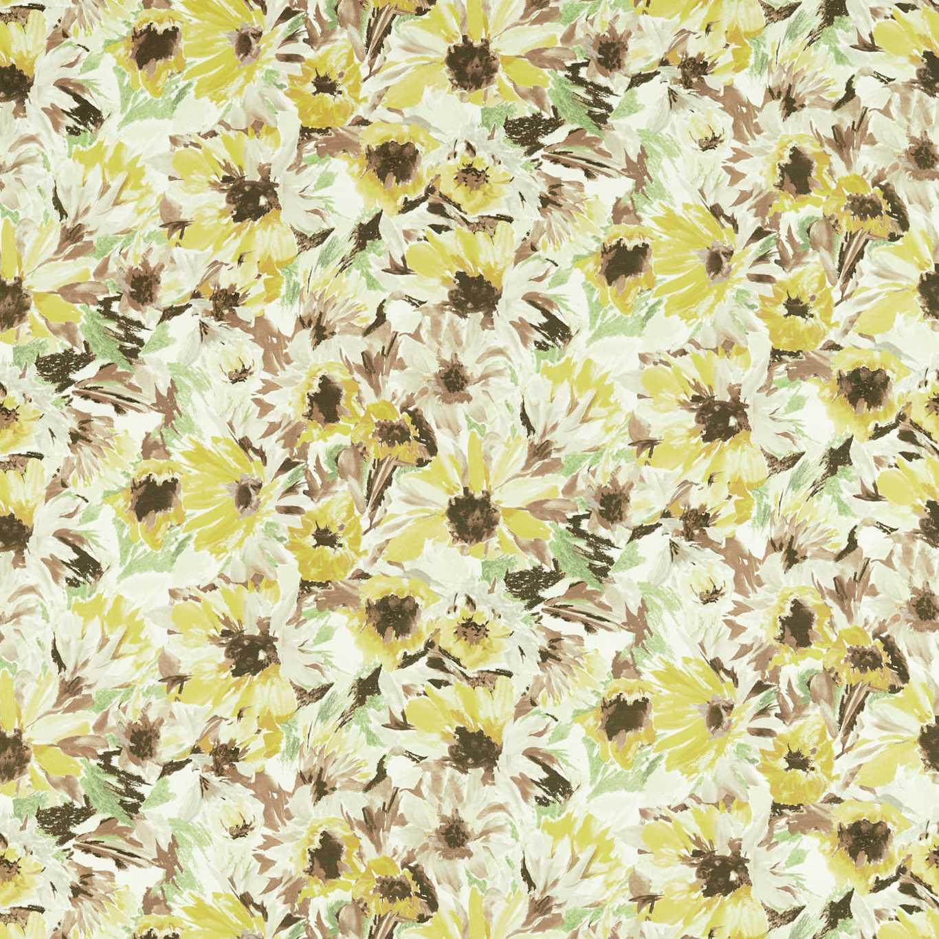 Helianthus - Sunflower / Grass / Awakening
