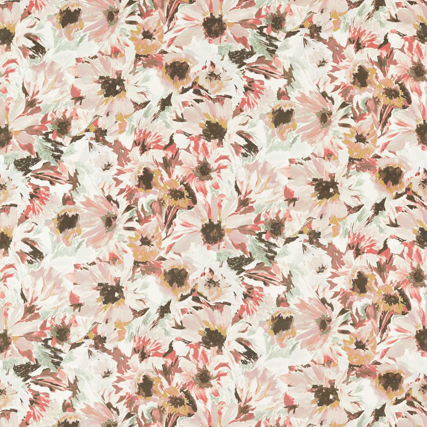 Helianthus - Moonstone / Succulent / Bleached Coral