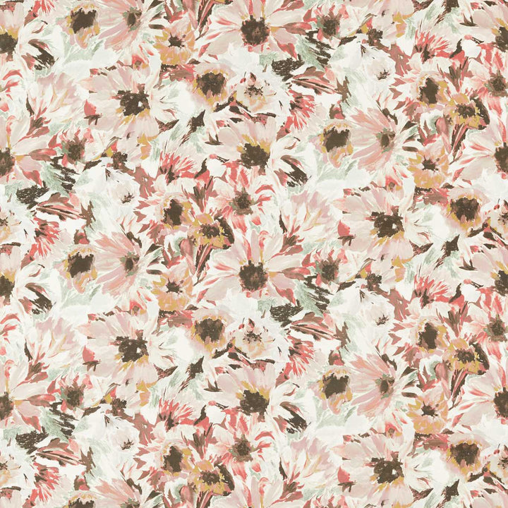 Helianthus - Moonstone / Succulent / Bleached Coral