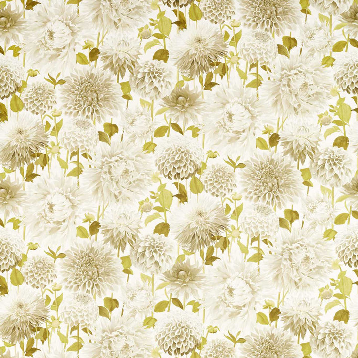 Dahlia - Fig Blossom / Nectar / Awakening