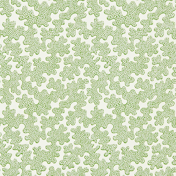 Zori Wallpaper - Forest / First Light