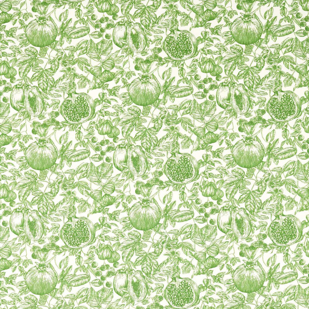 Melograno Fabric - Forest / First Light