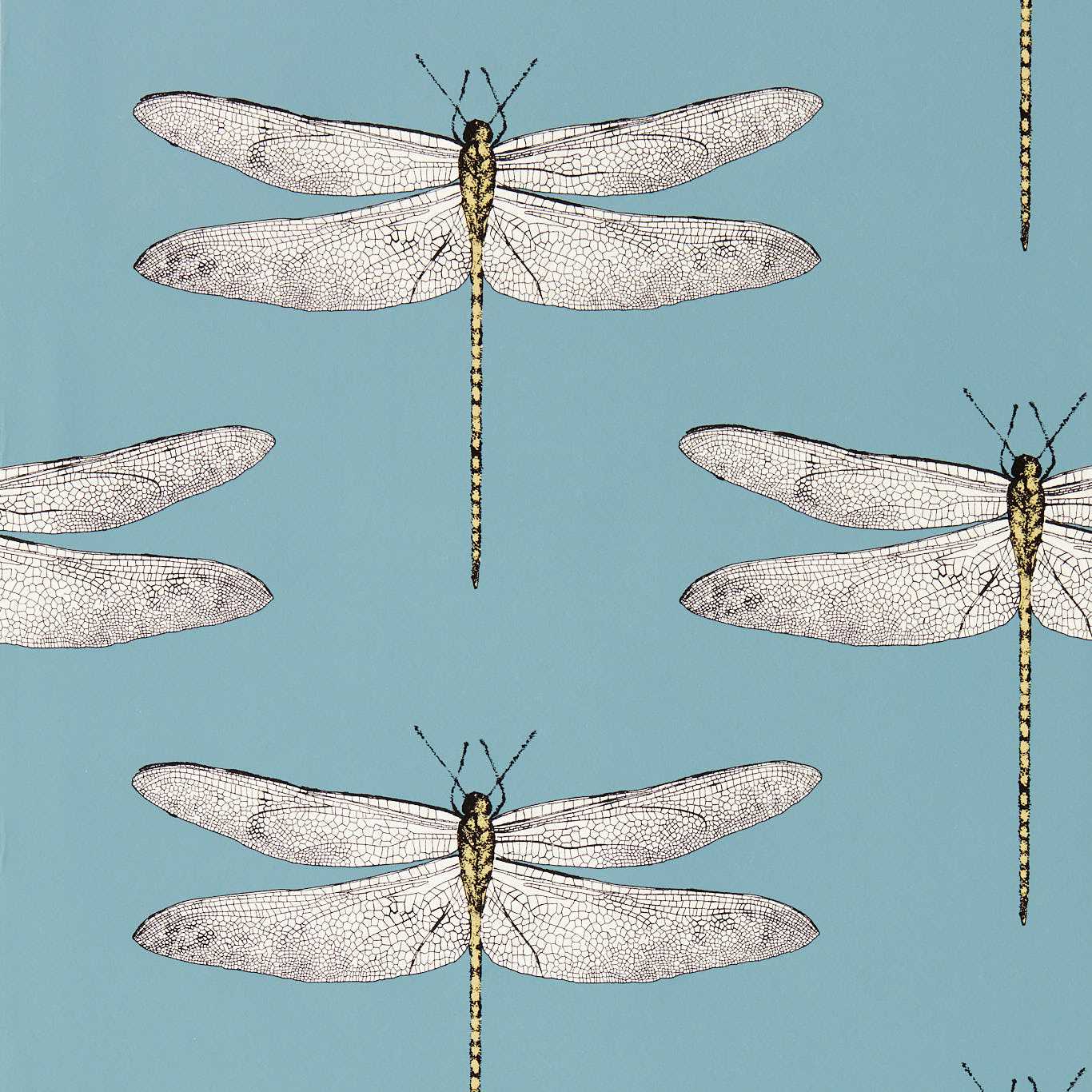 Demoiselle - Cornflower / First Light / Honey