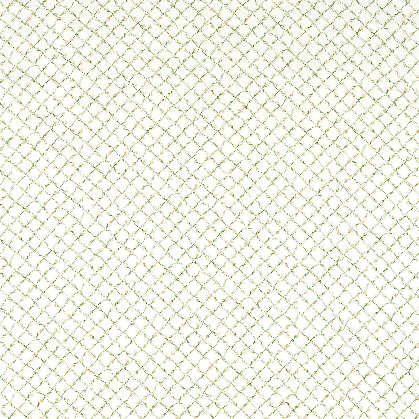 Daisy Trellis - Emerald / Pearl