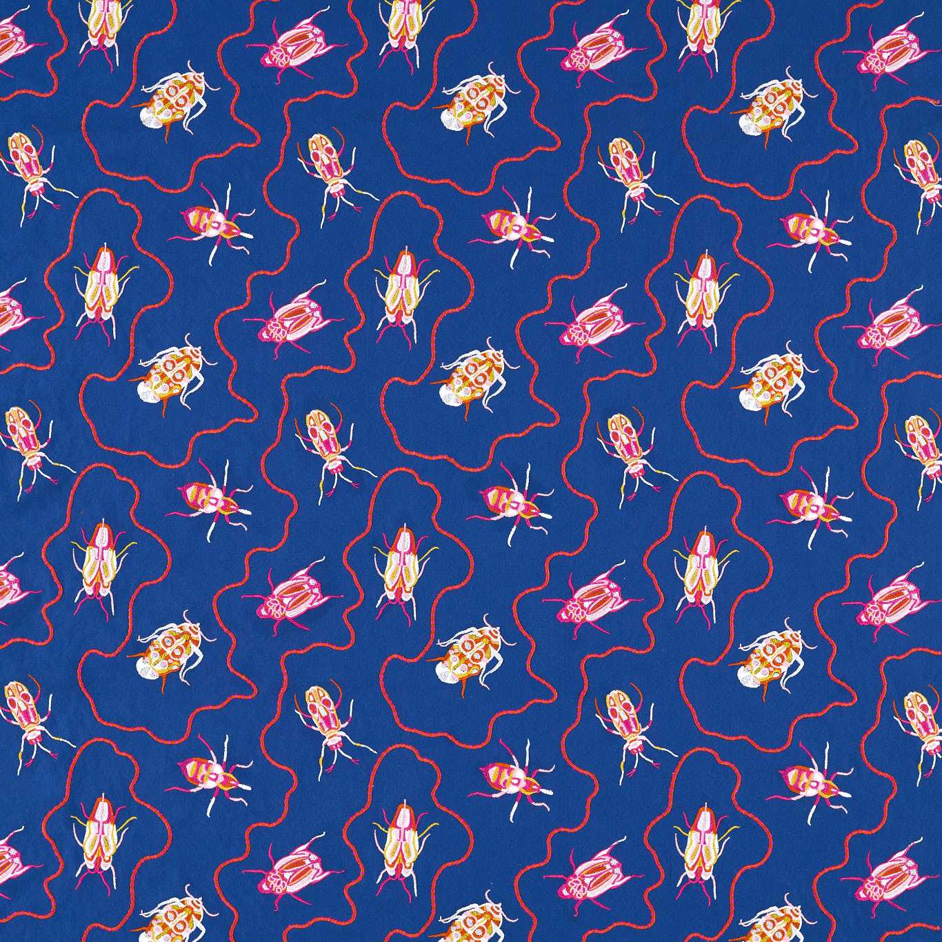 Jewel Beetles - Lapis
