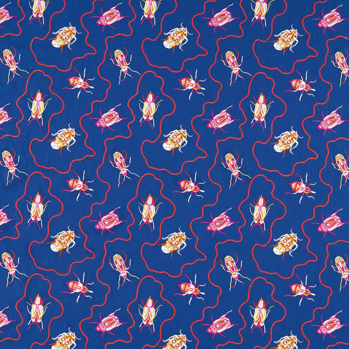 Jewel Beetles - Lapis