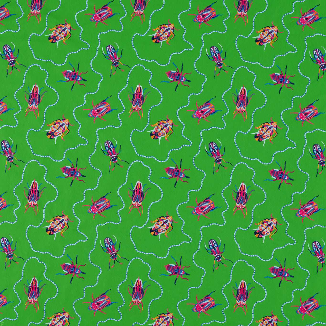 Jewel Beetles - Emerald