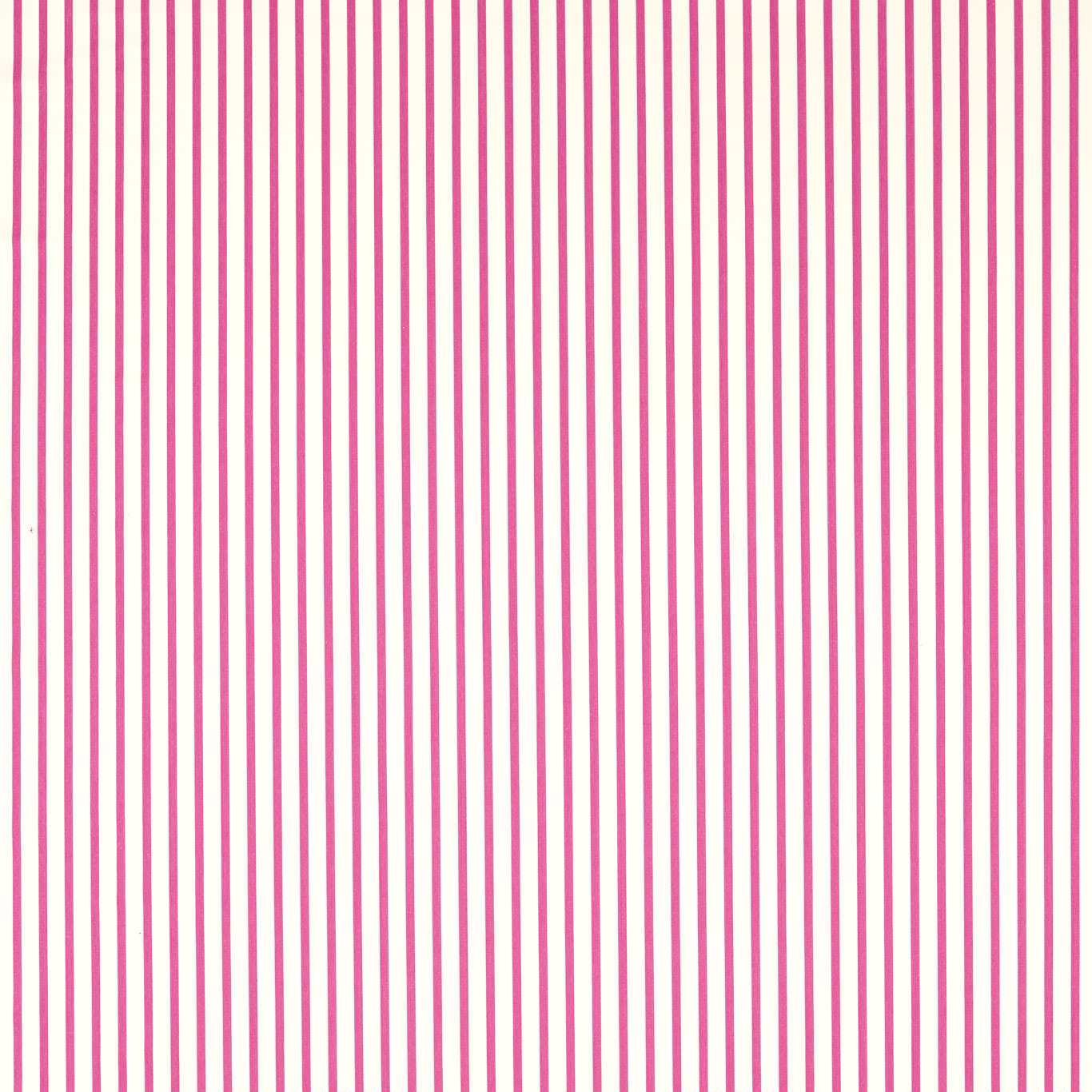 Ribbon Stripe - Spinel