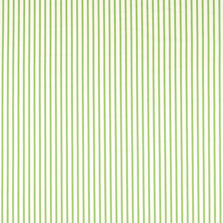 Ribbon Stripe - Peridot