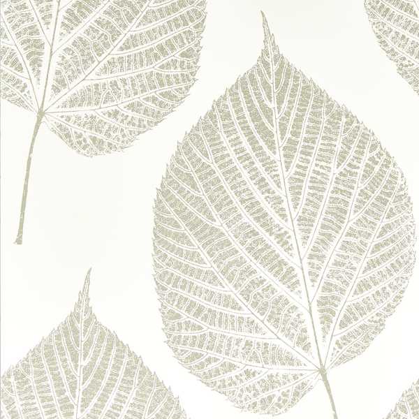 Leaf - Chalk / Silver