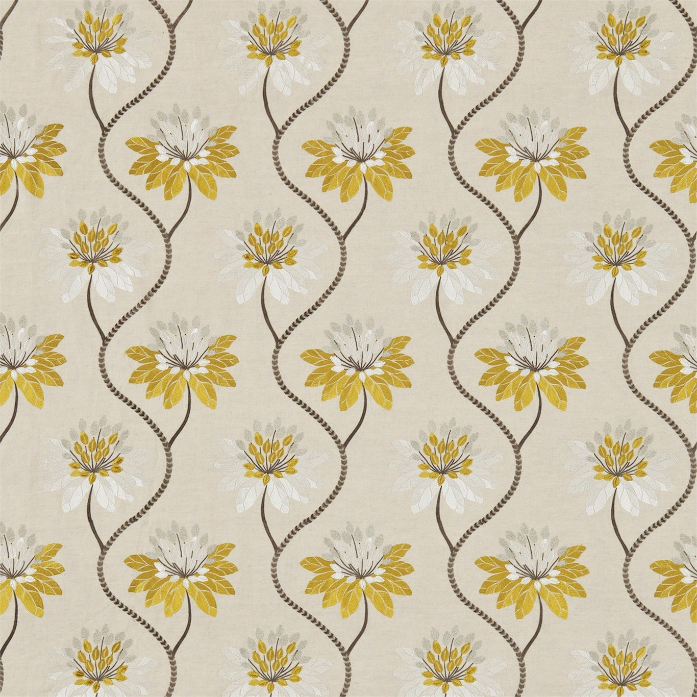Eloise - Marigold