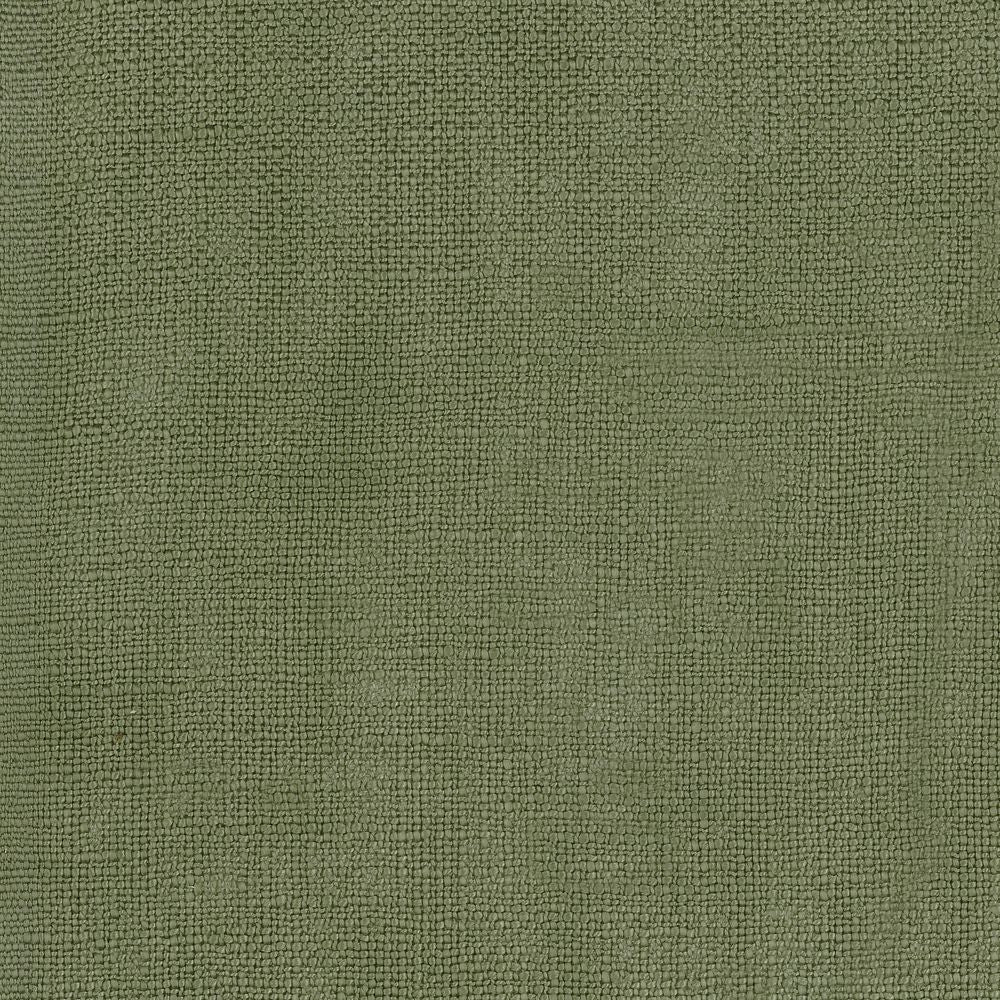 Livingstone Olive